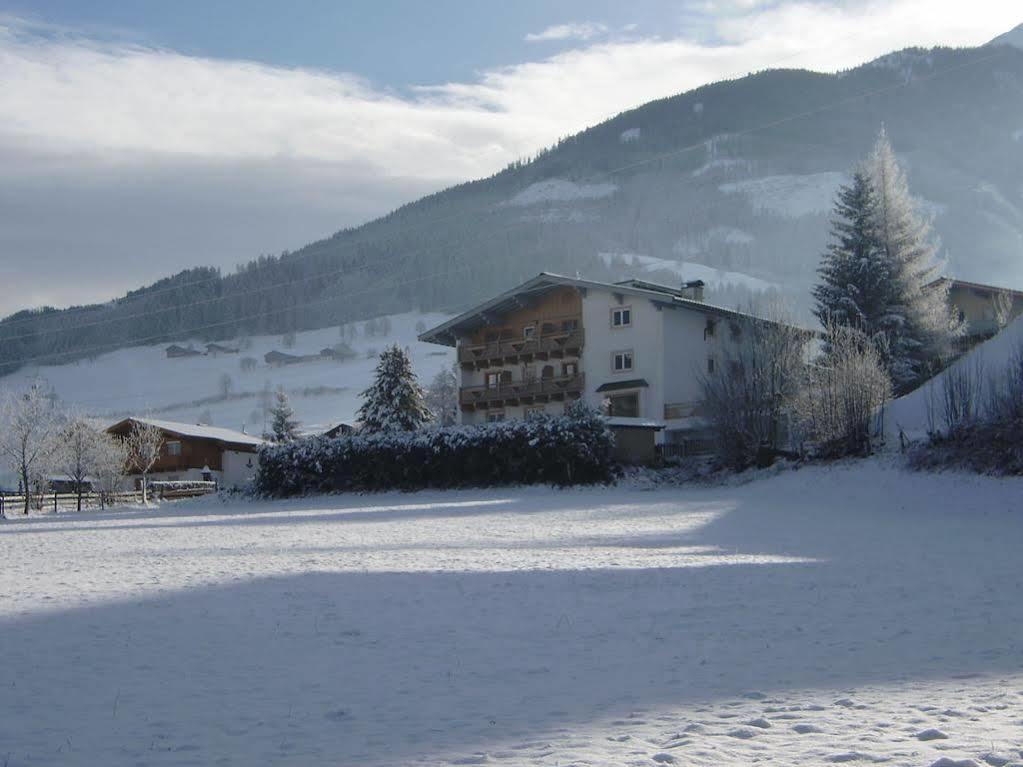 Casa Montana Guest house 2*