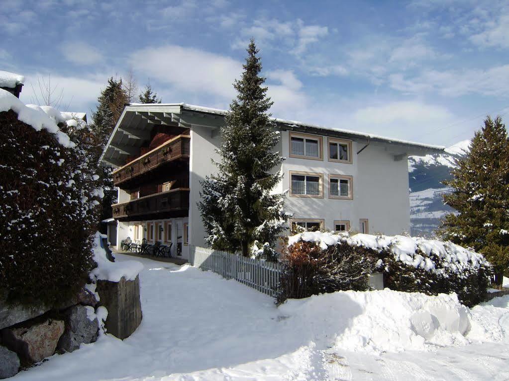 Guest house Casa Montana 2*